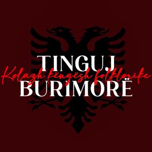 收聽Ali Krasniqi的Naper kafez歌詞歌曲