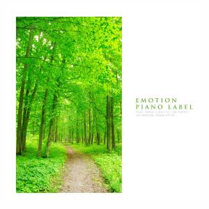 Album The Sound Of Nature And The Piano That Will Awaken The Afternoon'S Languor (Nature Ver.) from Various Artists