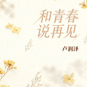 Listen to 和青春说再见 (伴奏) song with lyrics from 卢润泽