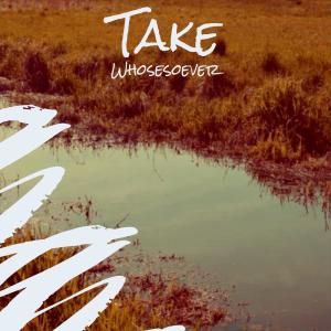 Album Take Whosesoever from Various