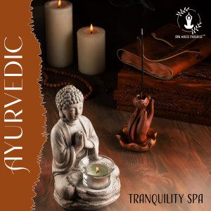 Ayurveda Zen的专辑Ayurvedic Tranquility Spa (Hindu Spa Music, Oriental Remedies, Massage Therapy)