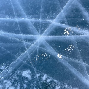 Listen to pylon shadow song with lyrics from ORANGEPURPLEBEACH