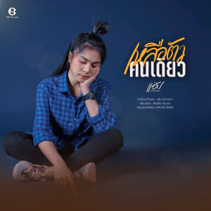 ดาวน์โหลดและฟังเพลง เหลือตัวคนเดียว พร้อมเนื้อเพลงจาก แอ๊ป ปราถณา