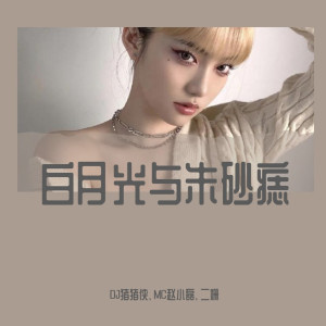 收听DJ猪猪侠的八神摇（DJ版）歌词歌曲