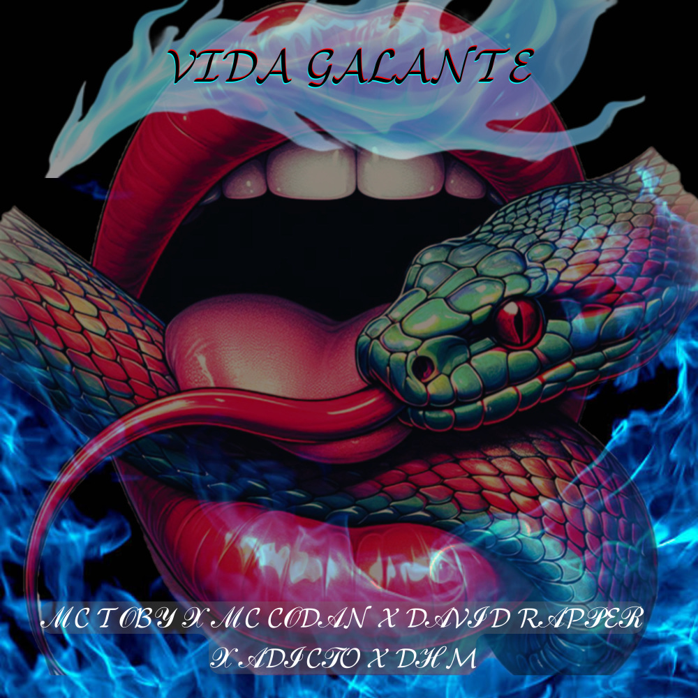 VIDA GALANTE