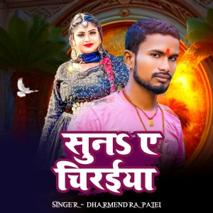 Listen to Suna ye chiraiya song with lyrics from Dharmendra Patel