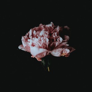收听Sineg的I Still Remember歌词歌曲