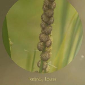 Listen to Name Report song with lyrics from Yolandie Esan