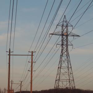 ดาวน์โหลดและฟังเพลง love me, love me not พร้อมเนื้อเพลงจาก mopearound