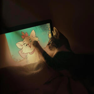 default playlist img