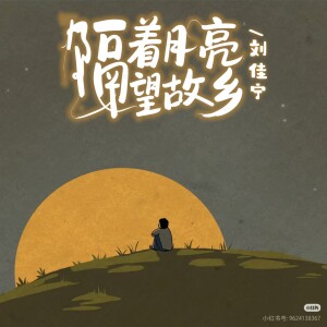 Album 隔着月亮望故乡 from 刘佳宁