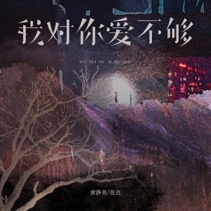 Album 我对你爱不够 from 黄静美