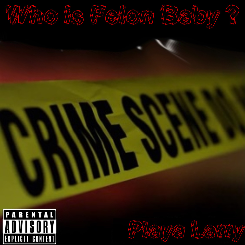 Who Is Felonbaby? (Explicit)