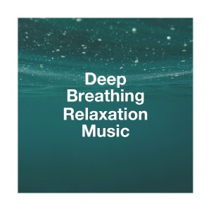 Reading and Studying Music的专辑Deep Breathing Relaxation Music