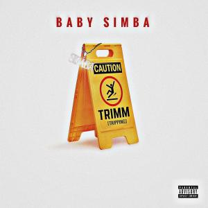 ดาวน์โหลดและฟังเพลง TRIMM (Explicit) พร้อมเนื้อเพลงจาก Baby Simba