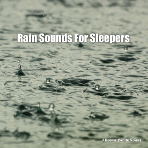 Listen to Rain Sounds for Sleepers (ASMR, Nature Sound) song with lyrics from J.Roomy