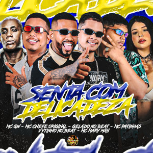 Album Senta Com Delicadeza (Explicit) from Gelado No Beat