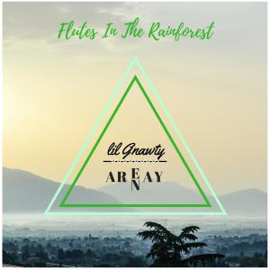 Album Flutes In The Rainforest from Lil Gnawty