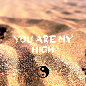 Sensei D的專輯You Are My High