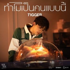 อัลบัม ทำไมเป็นคนแบบนี้ (ซนซน 40 ปี GMM GRAMMY) - Single ศิลปิน TIGGER (ทิกเกอร์)