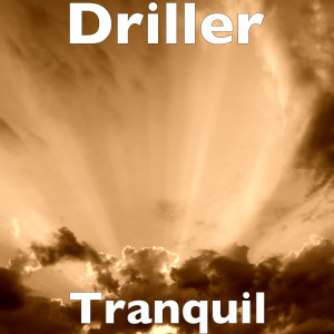 Dengarkan Tranquil lagu dari Driller dengan lirik