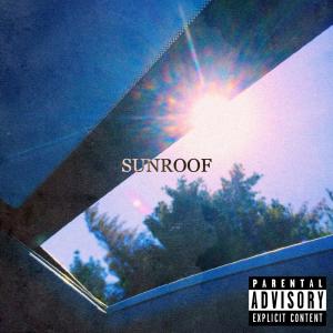Listen to Sunroof (Explicit) song with lyrics from NXVACAINE