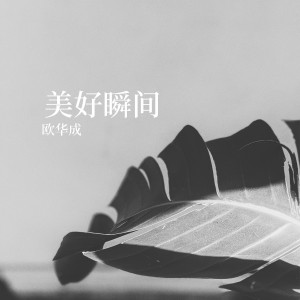 Dengarkan lagu 美好瞬间 nyanyian 欧华成 dengan lirik