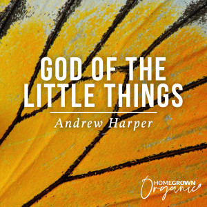 Dengarkan lagu God Of The Little Things nyanyian Andrew Harper dengan lirik