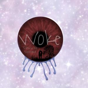 ดาวน์โหลดและฟังเพลง Woke (feat. Drip2Hard) พร้อมเนื้อเพลงจาก Trill Donn