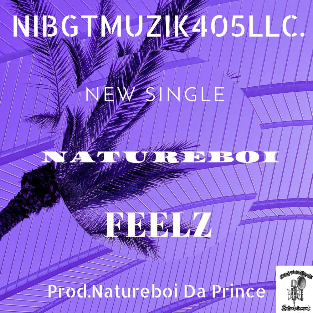 Feelz (Explicit)