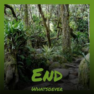 Listen to End Whatsoever song with lyrics from Cley Capi
