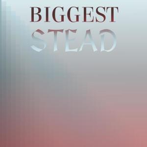 Various的专辑Biggest Stead