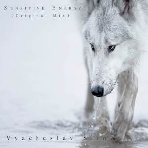 Listen to Sensitive Energy (Original Mix) song with lyrics from Vyacheslav Sitov