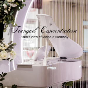 Peaceful Piano Jazz的專輯Tranquil Concentration: Piano's View of Melodic Harmony