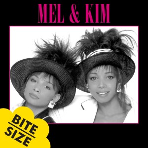 收聽Mel & Kim的Respectable歌詞歌曲