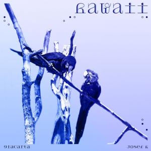 Listen to Hawaii(feat. Josef K) song with lyrics from Giacarta