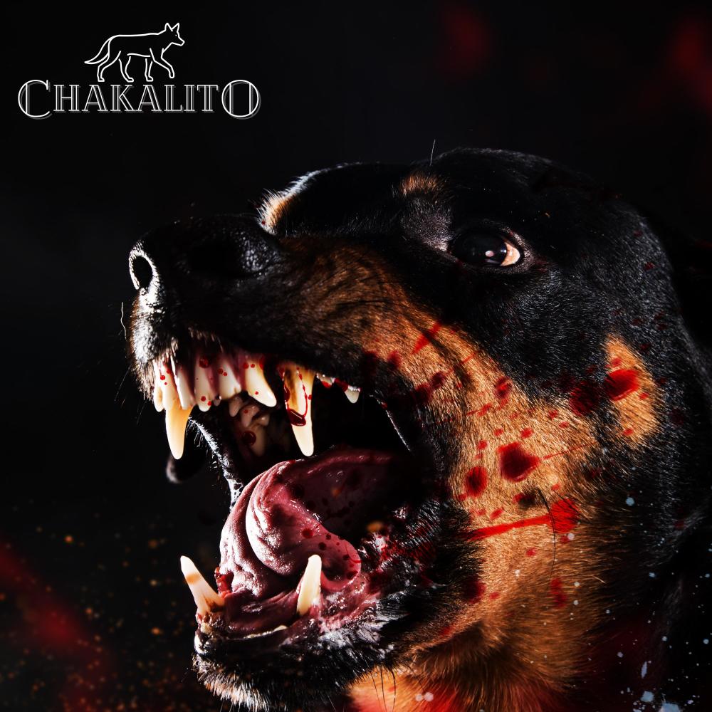 #Rottweiler (Freestyle n.1) (Explicit)