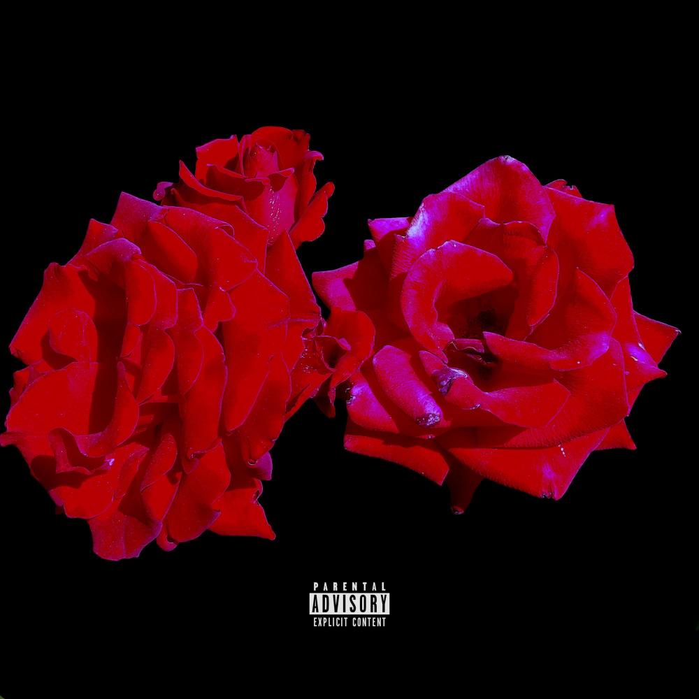 On The Floor (feat. Morgan Ice & VEEJAY) (Explicit)