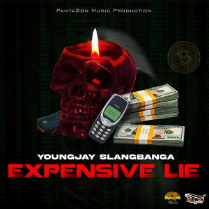 Listen to Expensive Lie (Explicit) song with lyrics from Young Jay Slang Banga