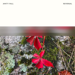Listen to Reversal song with lyrics from Amity Fall
