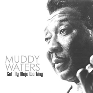 收聽Muddy Waters的Got My Mojo Working歌詞歌曲