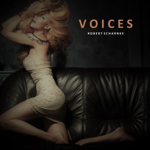 收聽Robert Scharnke的Voices歌詞歌曲