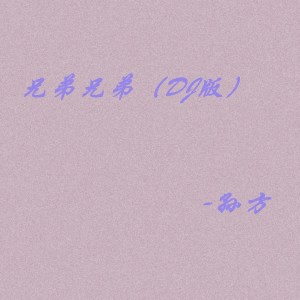 Listen to 兄弟兄弟 (Dj版) (DJ版) song with lyrics from 孙方