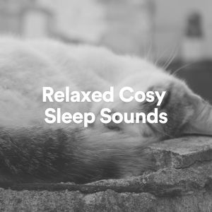 Womb Sound的专辑Relaxed Cosy Sleep Sounds