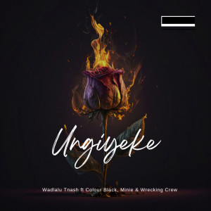 Album UNGIYEKE (Explicit) from WADLALU TNESH