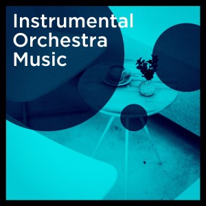 Instrumental Orchestra Music dari Various Artists