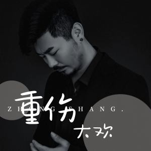 大歡的專輯重傷
