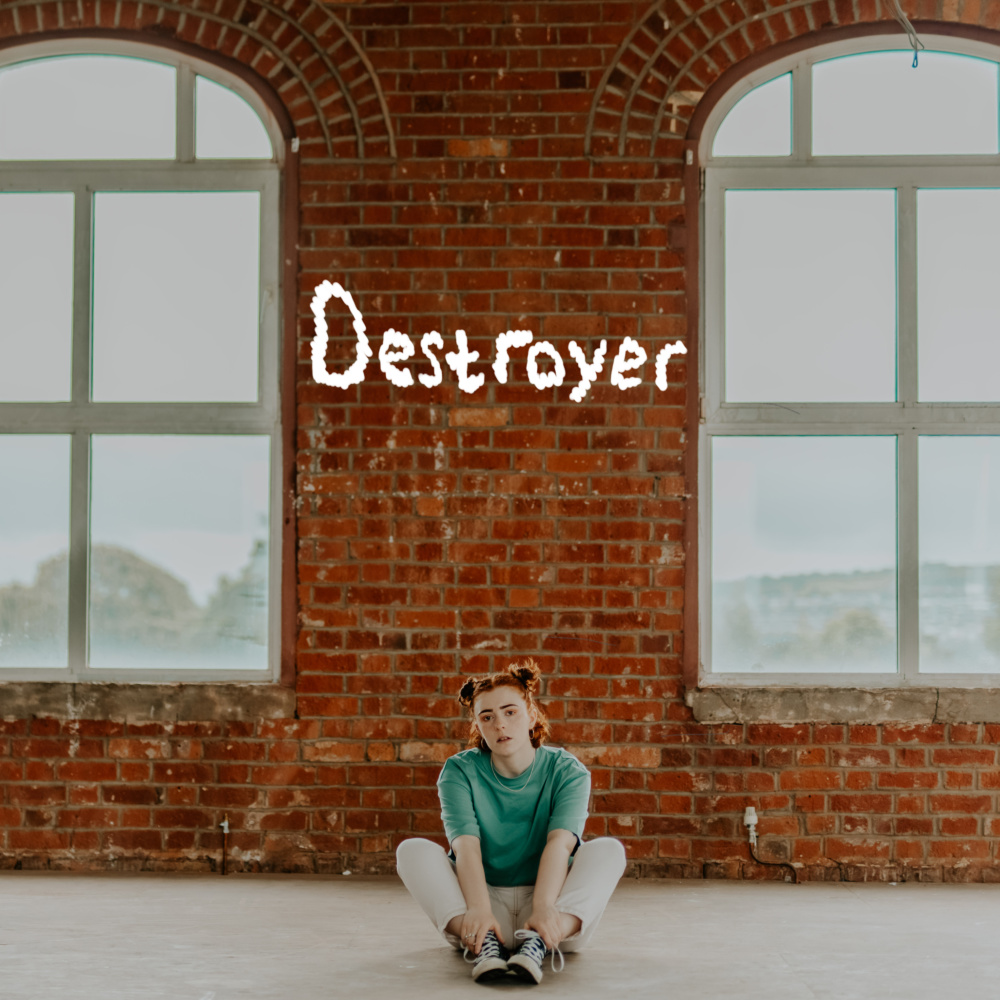 Destroyer