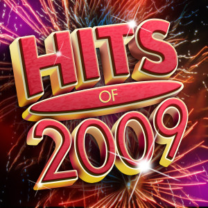 Various Artists的專輯Hits Of 2009