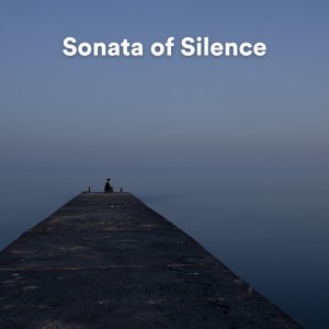Album Sonata of Silence from Calm Vibes